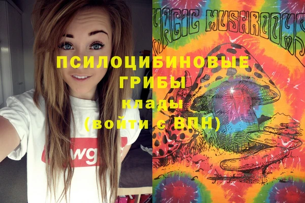 ALPHA-PVP Медвежьегорск