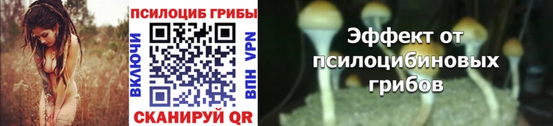 Купить  Пермь  Галлюциногенные грибы GOLDEN TEACHER 